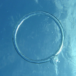 Bubble ring - Ecole de Plong&eacute;e Fran&ccedil;aise Toulouse